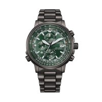 Citizen Promaster AT8304-57W