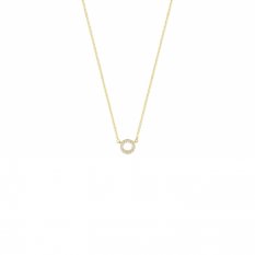 Pozlacený náhrdelník se zirkony Esprit ESNL01561242