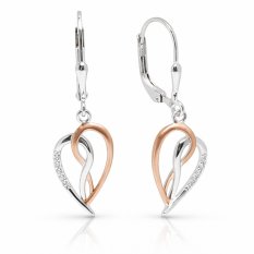 Elegantní stříbrné náušnice E0002127