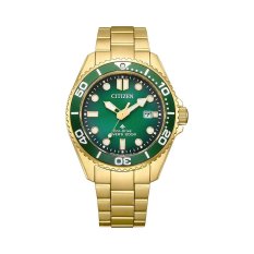 Citizen PROMASTER MARINE BN0262-59W