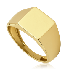 MINET Pánský zlatý pečetní prsten JMG0339WGR64