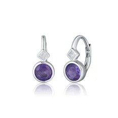 Stříbrné náušnice s kamínky SVLE3055XF6F100