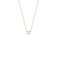 Pozlacený náhrdelník se zirkony Esprit ESNL01561342