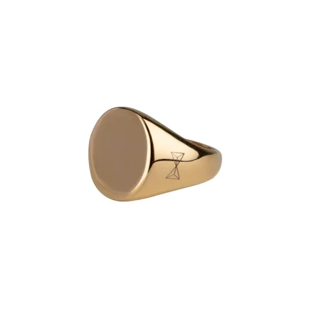 Pánský prsten AZE JEWELS Signet - Dore AZ-RG002-D-020