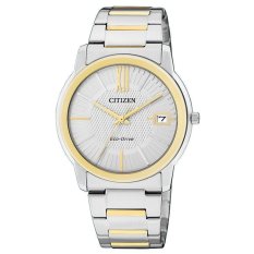 Citizen Eco-Drive FE6014-59A