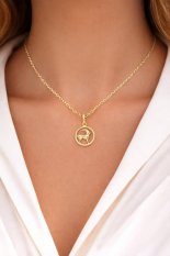 Zlatý přívěsek znamení Kozoroha KLOP-070ZKO