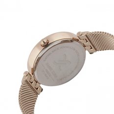 Dámské hodinky Daniel Klein Premium DK.1.12400.1