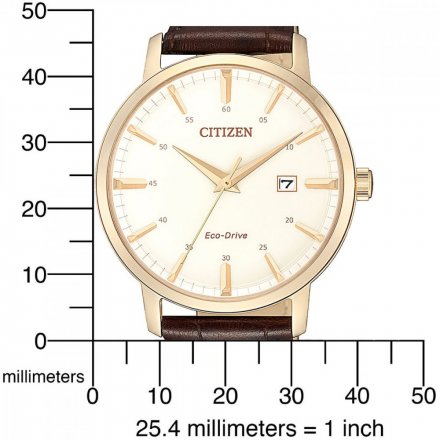 Pánské hodinky Citizen Eco-Drive CLASSIC BM7463-12A